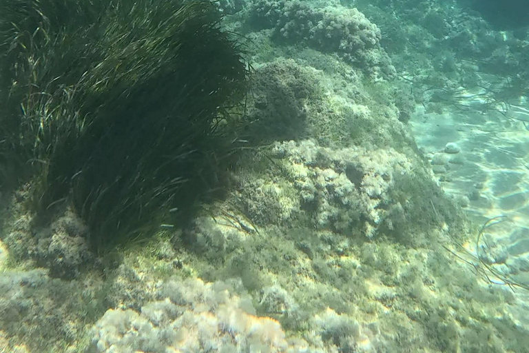 SCALA DEI TURCHI: Rent a KAYAK or Stand Up Paddle for 1 hour [+Snorkeling Kit] SCALA DEI TURCHI 1-hour STAND-UP PADDLEBOARD rental for 1 person