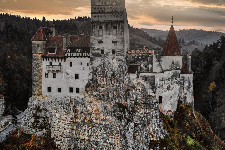 Brașov: Libearty Sanctuary, Peleș & Dracula Castle