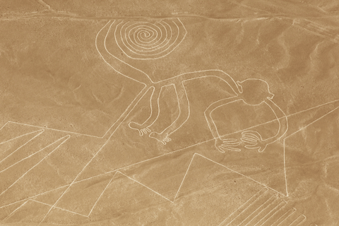 Lima: Paracas, Huacachina, and Nazca Lines Flight (2 days)