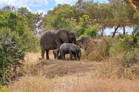 Zanzibar : 2-Day Mikumi National Park Safari with Flights