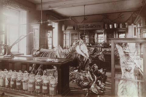 ETH Zurich Tour: Under the Skin