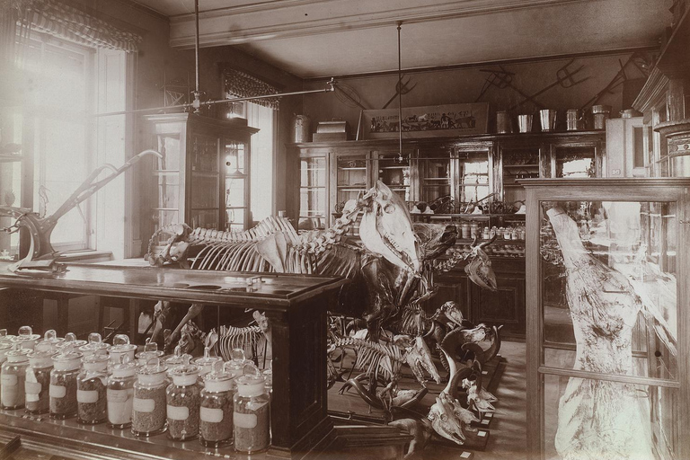 ETH Zurich Tour: Under the Skin