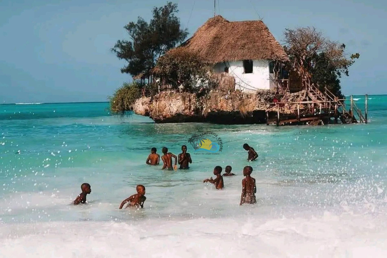 Błękitna Laguna, rozgwiazdy, żółwie, las Jozani i SkałaTransport hotelowy w regionie południowym