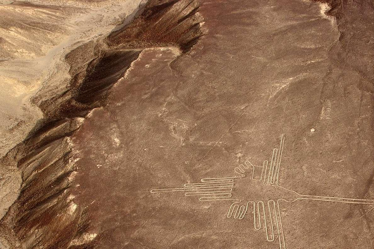 Lima : Excursion d&#039;une journée à Ballestas et Huacachina avec vol sur les lignes de Nazca