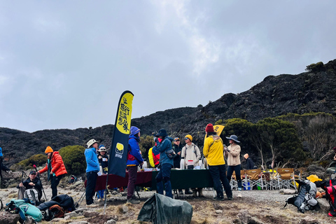 Moshi: 5 or 6-Day Kilimanjaro Trek via Marangu Route Moshi: 5 Day Kilimanjaro Trek via Marangu Route Only.