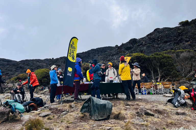 Moshi: 5 or 6-Day Kilimanjaro Trek via Marangu Route Moshi: 5 Day Kilimanjaro Trek via Marangu Route Only.