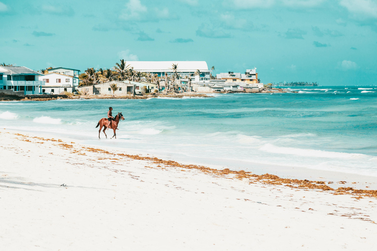 Fiji: Natadola Beach Horseback Riding Tour