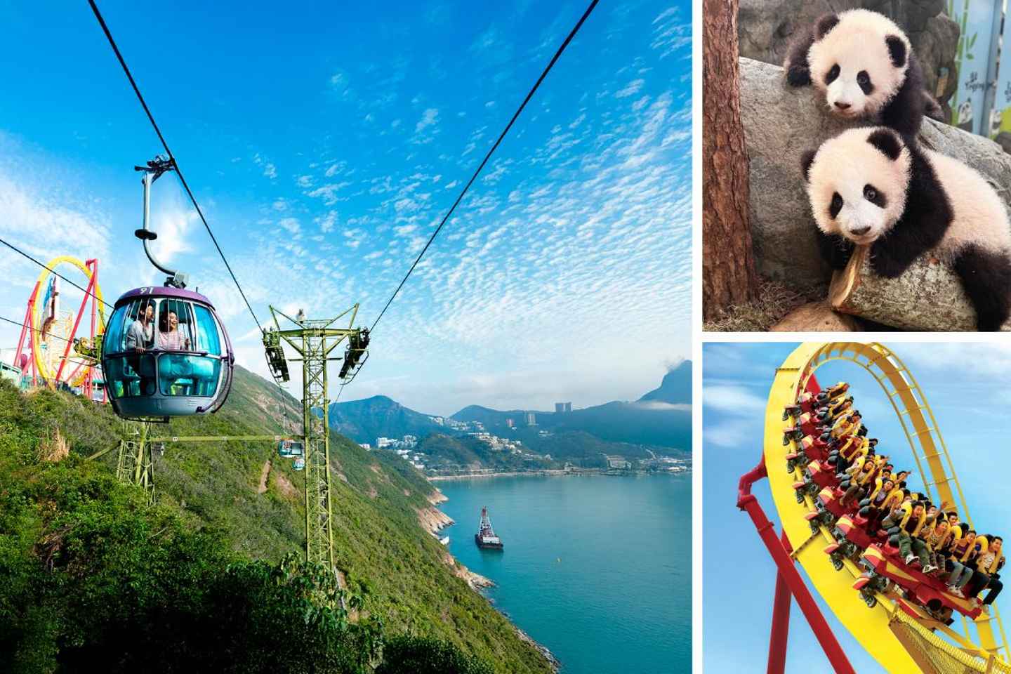 Hong Kong: Ocean Park Entry Ticket - 1 Day Direct Entry Ticket (No Redemption Required)