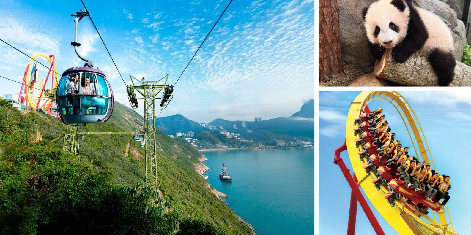 香港：オーシャンパーク入場チケットをご用意しております | GetYourGuide