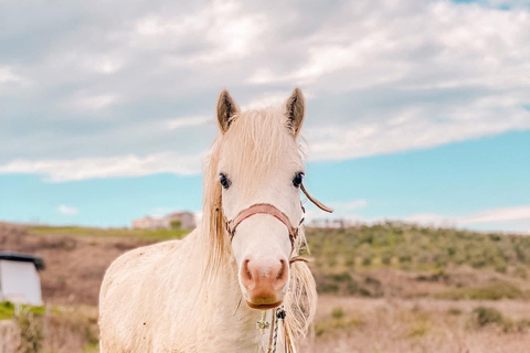 From Durres: Farmland, Vineyard &amp; Wine Tasting Tour