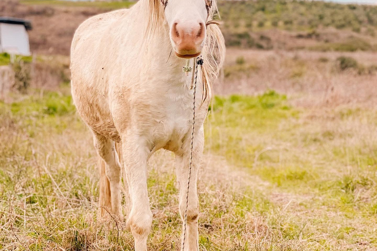 From Durres: Farmland, Vineyard &amp; Wine Tasting Tour