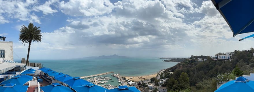 Médina, Carthage, Sidi Bou Saïd, musée du Bardo avec déjeuner
