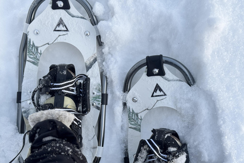 Arctic Gateway: Snowshoeing Expedition in Lapland