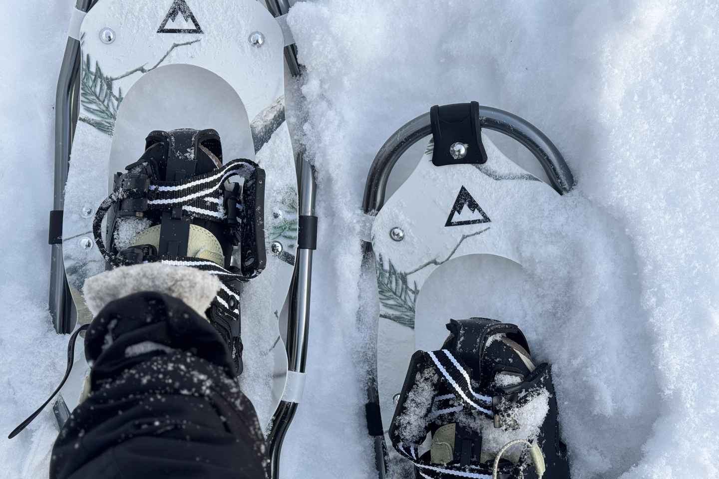 Arctic Gateway: Snowshoeing Expedition in Lapland