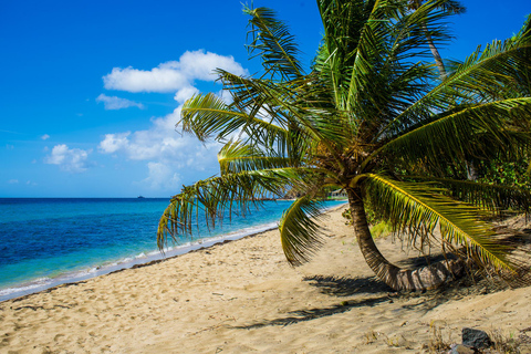 St. Kitts Photography Tours