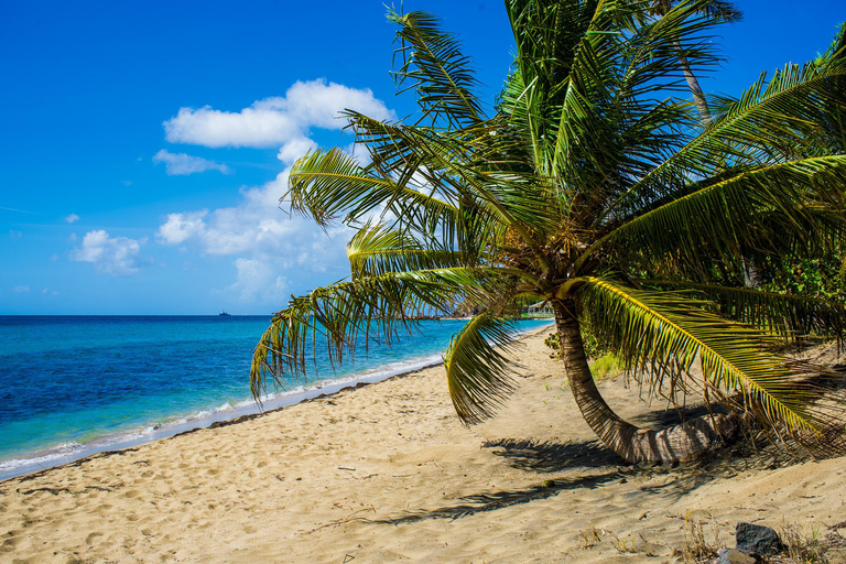 St. Kitts Photography Tours