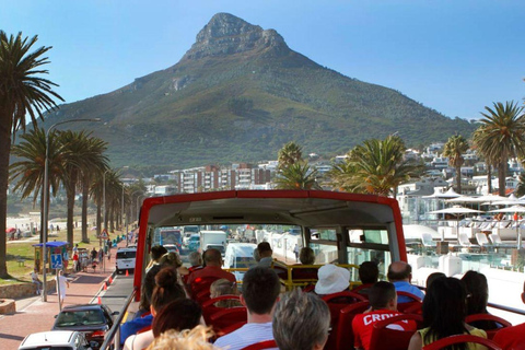 Kaapstad: hop-on-bus &amp; wijnproeverij bij Groot ConstantiaKaapstad: Hop-On Bus &amp; Wijnproeverij bij Groot Constantia