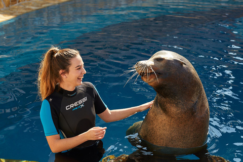 Benidorm: Aqualandia Entry w/Optional Mundomar Combo Ticket Benidorm: Aqualandia and Mundomar 2-Day Combo Ticket
