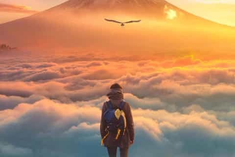 Tokyo : visite privée du mont Fuji avec photographie et guide anglophone
