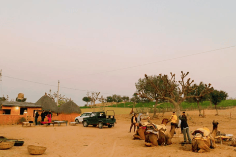 Excursão de meio dia a pé pelo deserto em Jodhpur Rajasthan com Sumer