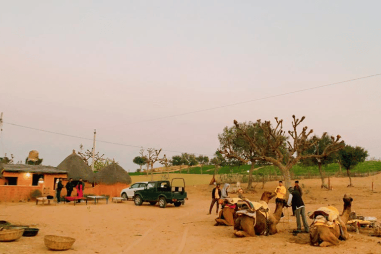 Excursão de meio dia a pé pelo deserto em Jodhpur Rajasthan com Sumer