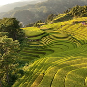 Mu Cang Chai: 2-Day Private Trek with Homestay & Meals Mu Cang Chai: 2-Day Private Trek with Homestay & Meals