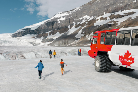 Banff: Lake Louise, Columbia Icefield, Bow &amp; Peyto LakesUpphämtning Banff Canalta Lodge