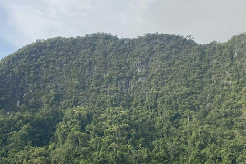 Krabi: Ao Thalane Mangrove Kayaking Tour with Pickup Half Day Kayak - Morning Session