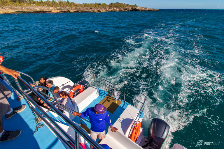 Excursión a la Isla Catalina: Barco, estancia en la playa, comida y bebidas gratis