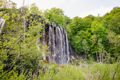 Vanuit Split of Trogir: Plitvice Meren Tour met toegangsbewijsPlitvicemeren: groepstour vanuit Split