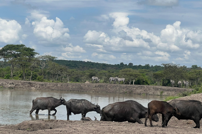 Entebbe: Nationaal Park Lake Mburo, Equator Tour &amp; Rondvaart