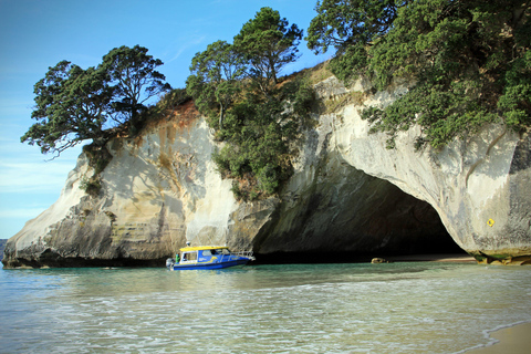 CATHEDRAL COVE &amp; HOT WATER BEACH Tagestour ab Auckland