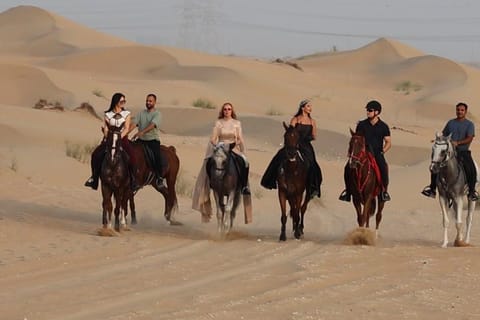 Dubai Horse Riding Experience at M11 Equestrian Club