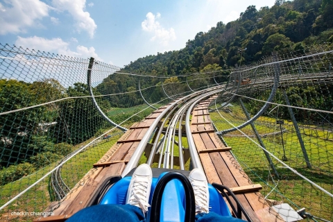 Chiang Mai: Pongyang Jungle Coaster & Zipline with Transfer Gold Package