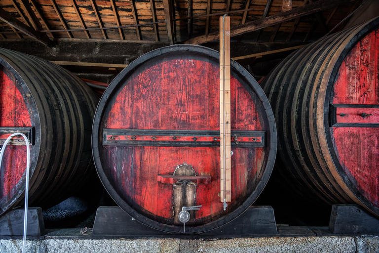 Porto: Douro Valley Day Trip with Wine Tasting & Cruise Spanish - With boat included
