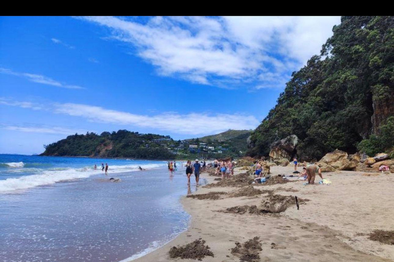 Auckland: Hidden Gem Coromandel& Cathedral Cove Private Day