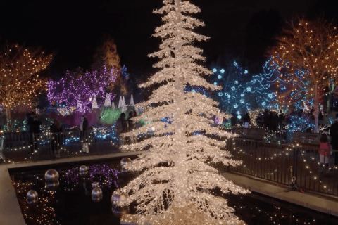 Vancouver : Tour en trolley des lumières de Noël avec karaoké