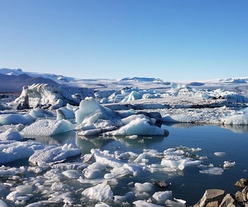Från Djúpivogur: Dagsutflykt till glaciärlagunen och Diamantstranden