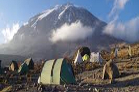 Highest Kilimanjaro Joining Tour Trekking Adventures