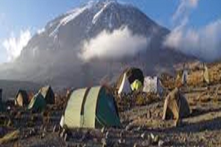 Niezapomniany trekking Kilimandżaro - 1 dzień szlakiem Rongai