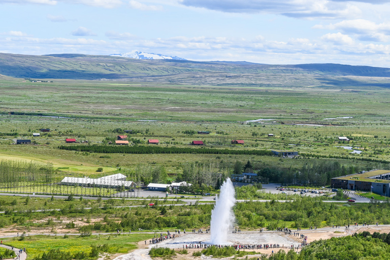 Walvisspotten en Golden Circle-tour van een hele dag vanuit Reykjavik