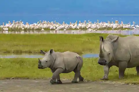 4 Days Luxury Safari to Serengeti & Ngorongoro Crater