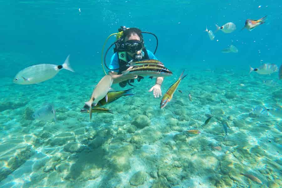 Rhodos: Tauchen für Anfänger mit Fotos. Foto: GetYourGuide Rhodos: Tauchen für Anfänger mit Fotos. Foto: GetYourGuide