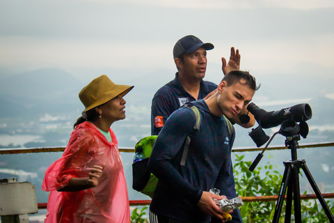 Panama City: Ancon Hill Eco-Walk with Wildlife Spotting