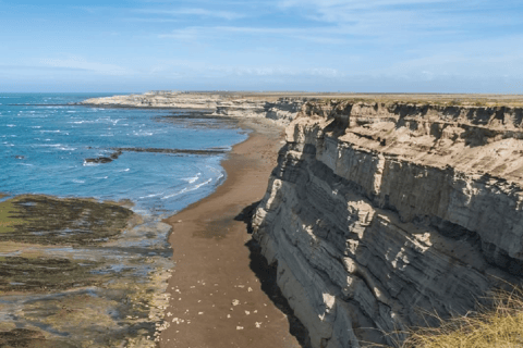 Péninsule de Valdés : Excursion à terre pour les croisiéristes