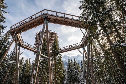 From Zakopane: High Tatras Treetop Walk and Strbske Pleso