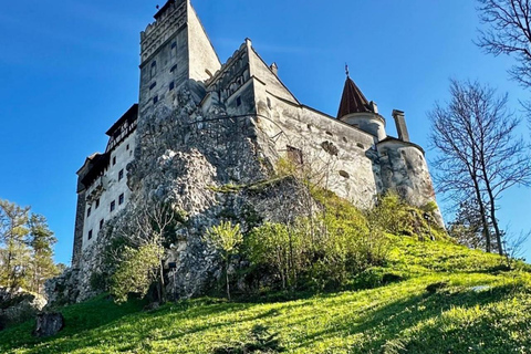 Cluj-Napoca: Transylvania Tour with Bran (Dracula's) Castle