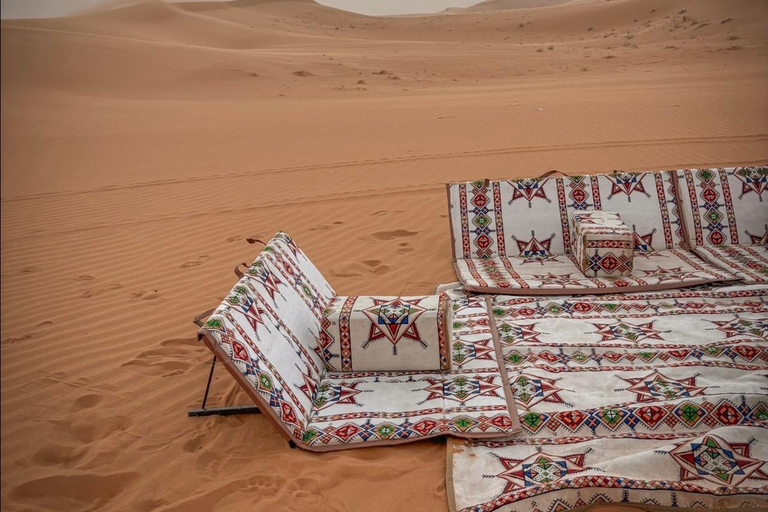 Riyadh: Camel Farm Visit in Heart Of The Desert