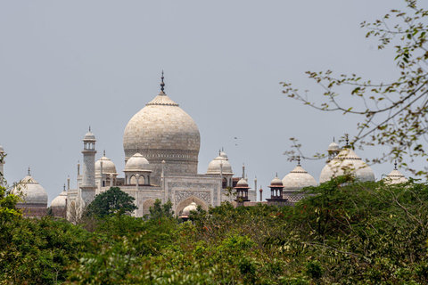 From Delhi: Taj Mahal, Agra Fort, Baby Taj Private Day Tour Only Tour Guide in Agra