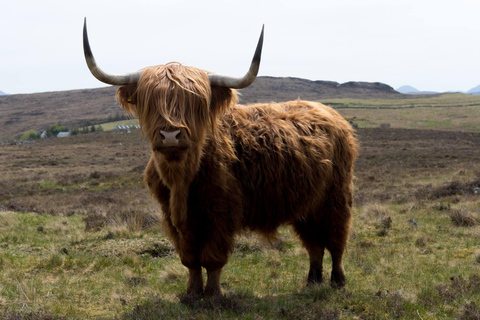 From Edinburgh: 2 Day Glencoe, Glenfinnan & Oban Tour